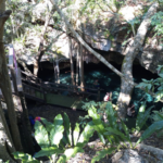 Cenote Dzonbakal