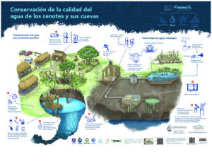 Conservación de la calidad del agua de los cenotes y sus cuevas